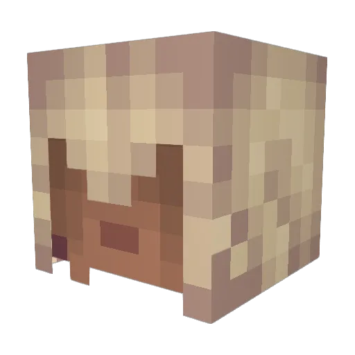 southdublin Minecraft avatar head, 3D render