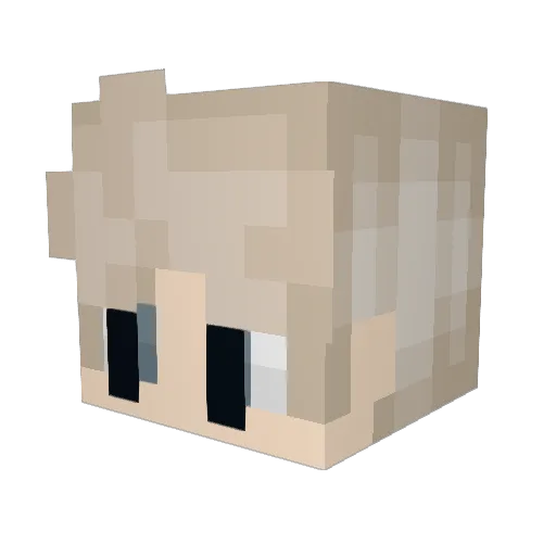 southparkbro Minecraft avatar head, 3D render