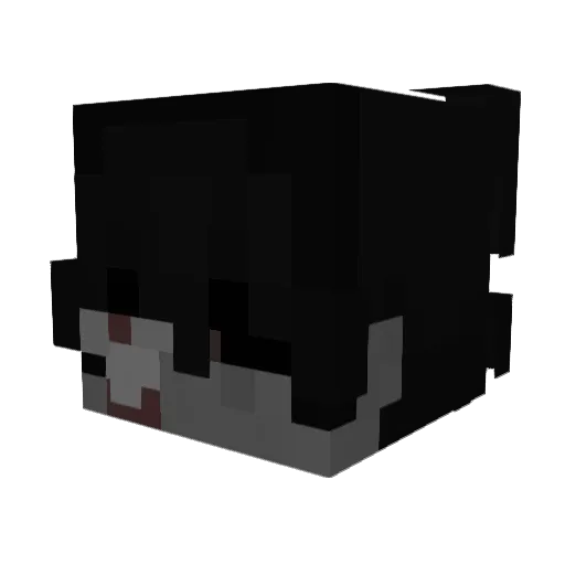 sovl Minecraft avatar head, 3D render