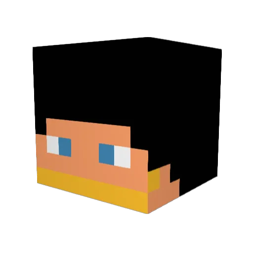 sowapatchkid Minecraft avatar head, 3D render