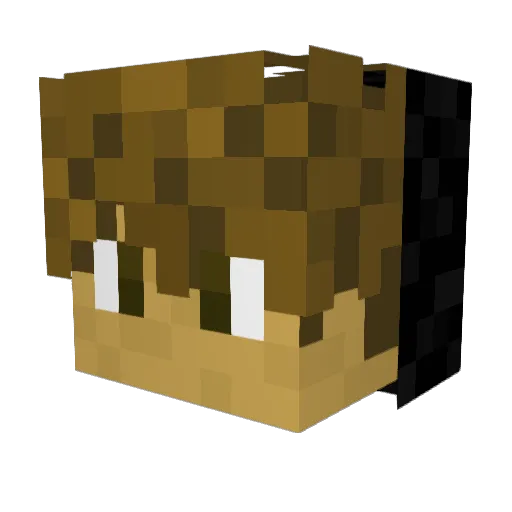 sowerdoh Minecraft avatar head, 3D render