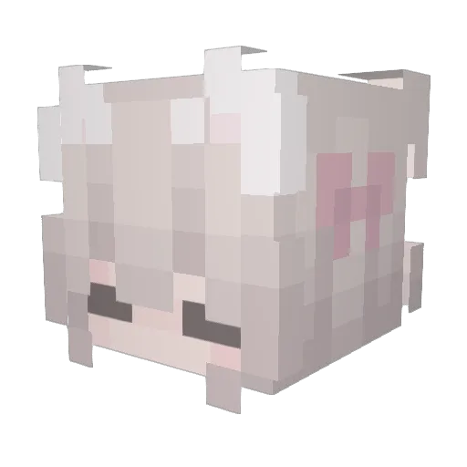 sowieeee Minecraft avatar head, 3D render