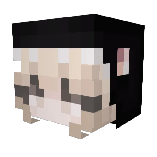sowofi Minecraft avatar head, 3D render