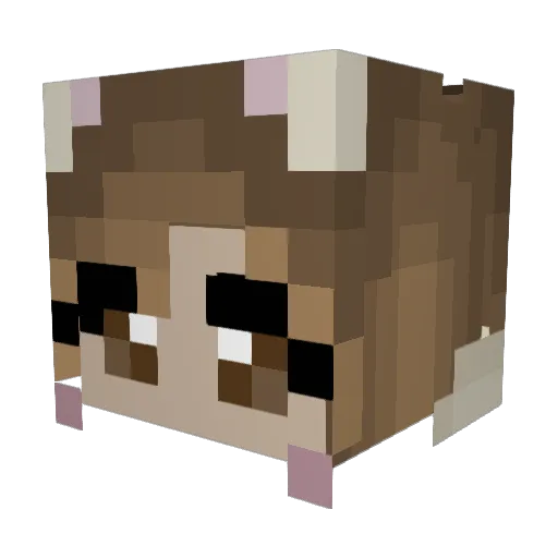 sowojuu Minecraft avatar head, 3D render