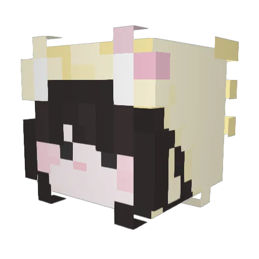 sowonzz Minecraft avatar head, 3D render