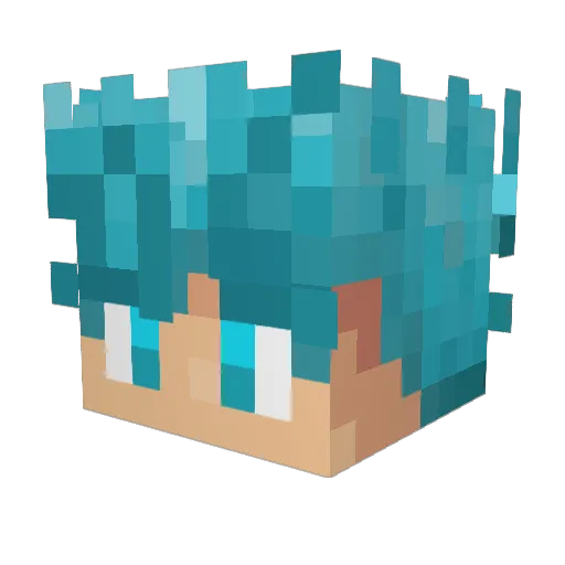 sowzgood Minecraft avatar head, 3D render