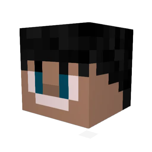 soxofoxy Minecraft avatar head, 3D render