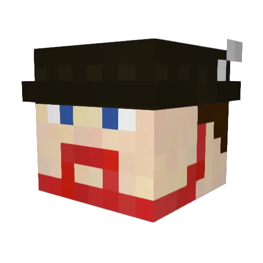 soyDoctorT Minecraft avatar head, 3D render