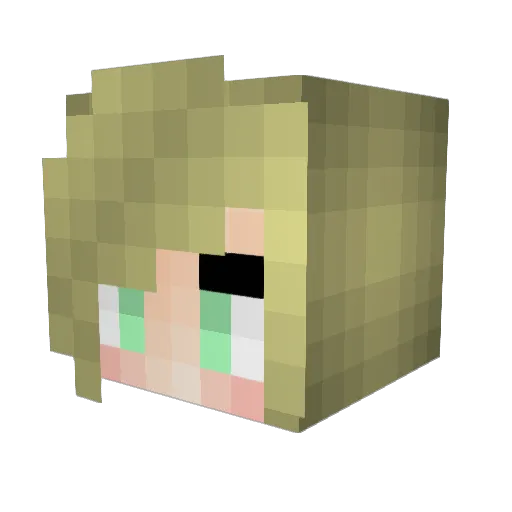 soybeanbaby Minecraft avatar head, 3D render