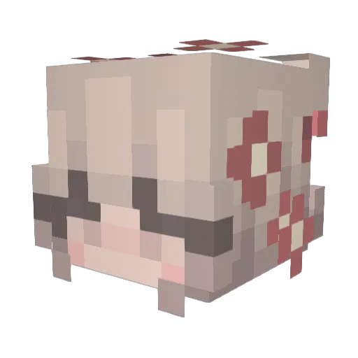soylinda Minecraft avatar head, 3D render