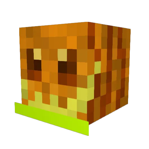 soypaco Minecraft avatar head, 3D render