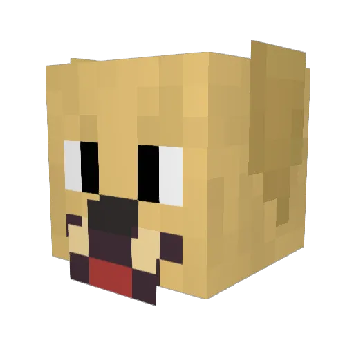 soypaws21 Minecraft avatar head, 3D render