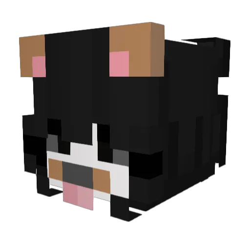 soypeppa Minecraft avatar head, 3D render