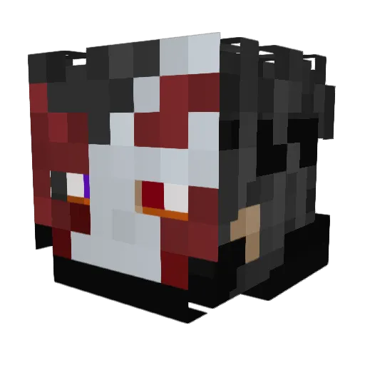 sozialschwaeche Minecraft avatar head, 3D render