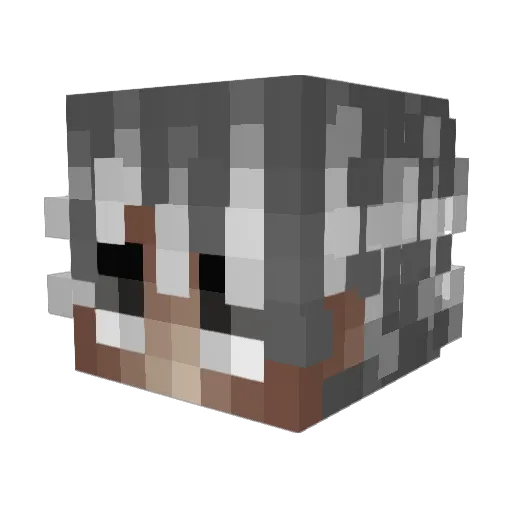 sozixTopG Minecraft avatar head, 3D render