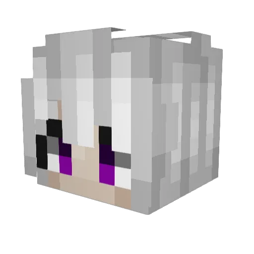 sozzles Minecraft avatar head, 3D render