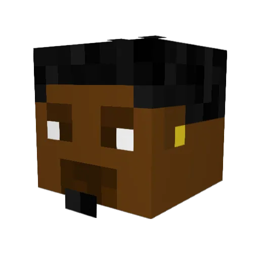 sp1d4 Minecraft avatar head, 3D render