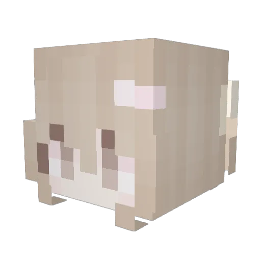 sp7derwebs Minecraft avatar head, 3D render
