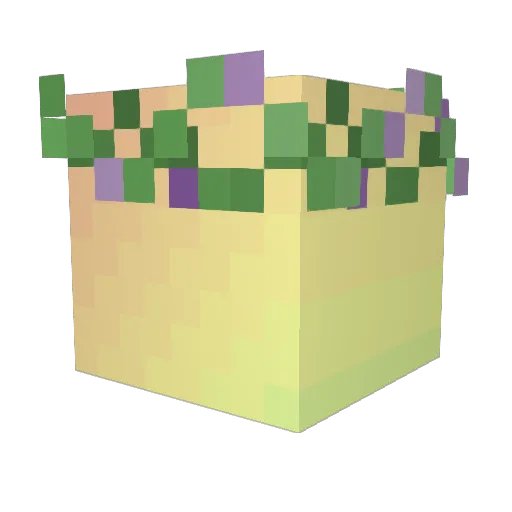 spaceCryptid Minecraft avatar head, 3D render