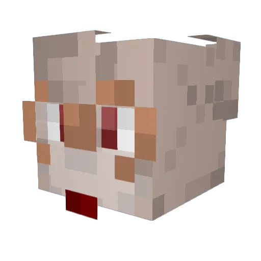 spaceDOTexe Minecraft avatar head, 3D render