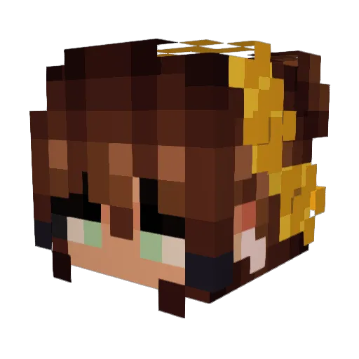 spaceFlower1440 Minecraft avatar head, 3D render