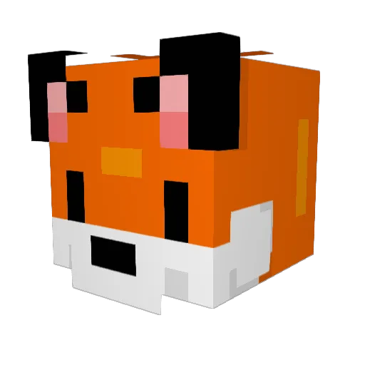 spaceFox_420 Minecraft avatar head, 3D render