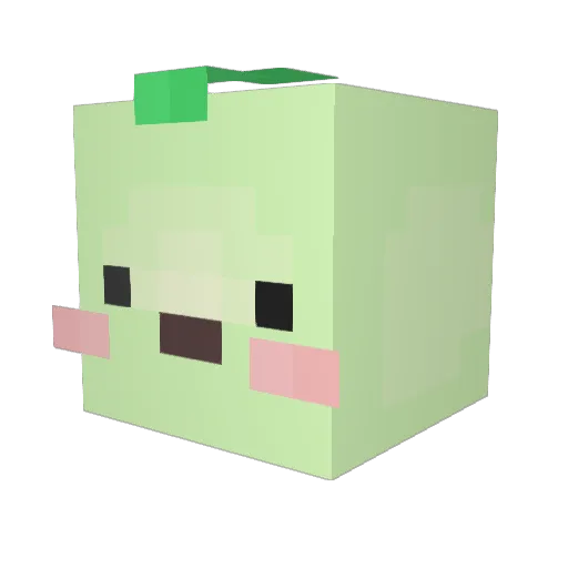 space_ceo Minecraft avatar head, 3D render
