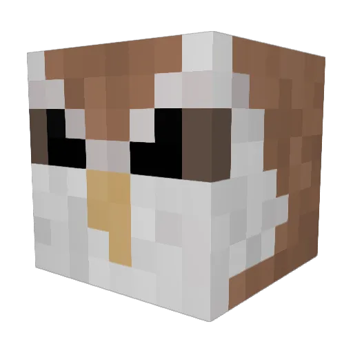 space_cowboi_ Minecraft avatar head, 3D render
