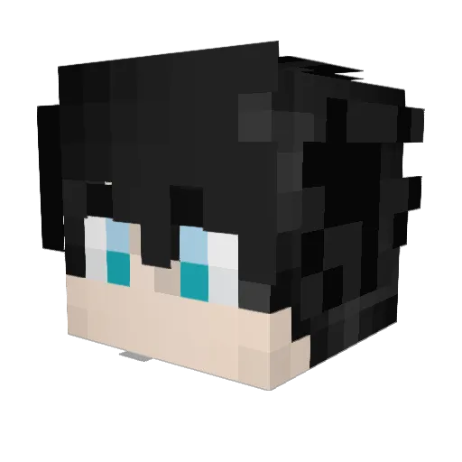 space_nyan Minecraft avatar head, 3D render