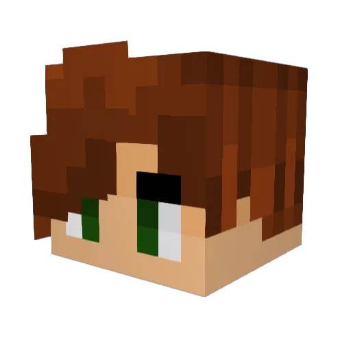 spacebird7 Minecraft avatar head, 3D render