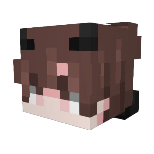spaceboltx22 Minecraft avatar head, 3D render