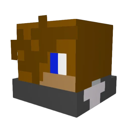spacebow09 Minecraft avatar head, 3D render