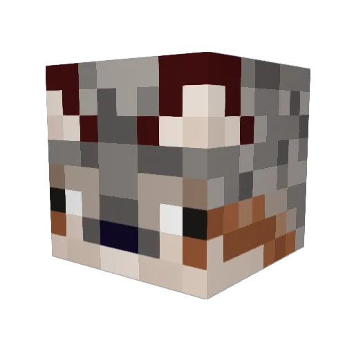 spacebro123 Minecraft avatar head, 3D render