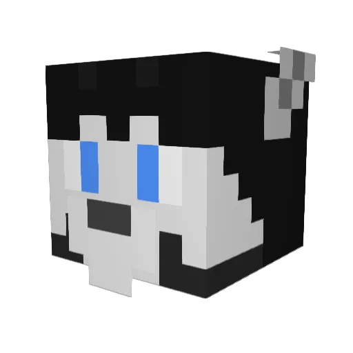 spaceca Minecraft avatar head, 3D render