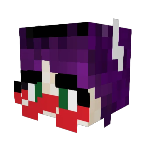spacecat836 Minecraft avatar head, 3D render