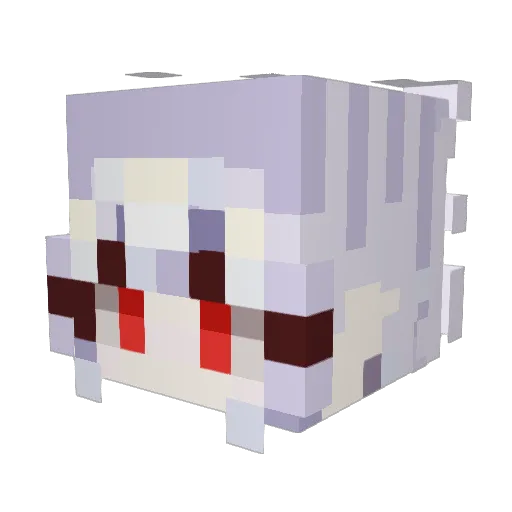 spacecatmeows Minecraft avatar head, 3D render