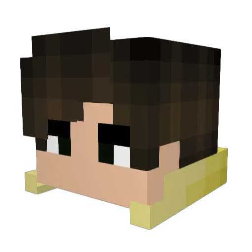 spacecowb0y_ Minecraft avatar head, 3D render
