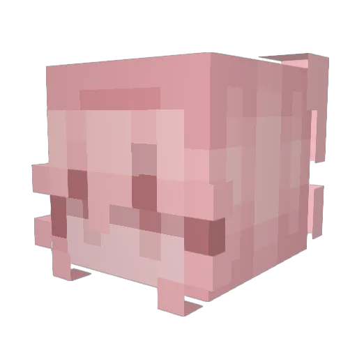 spacecult Minecraft avatar head, 3D render