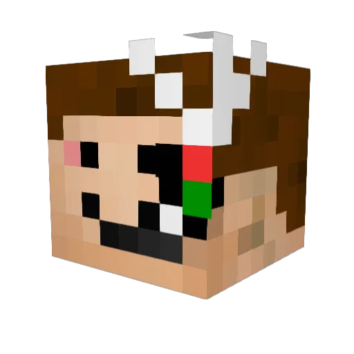 spacedingo420 Minecraft avatar head, 3D render