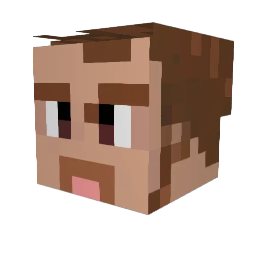 spacedognut Minecraft avatar head, 3D render