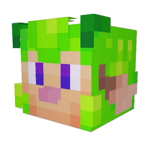 spacedoutsheep Minecraft avatar head, 3D render