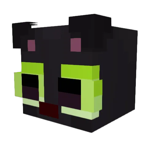 spacedsock Minecraft avatar head, 3D render
