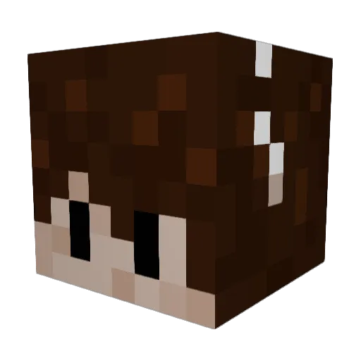 spacee_person Minecraft avatar head, 3D render