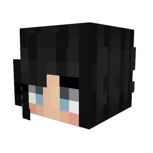 spaceecasey Minecraft avatar head, 3D render