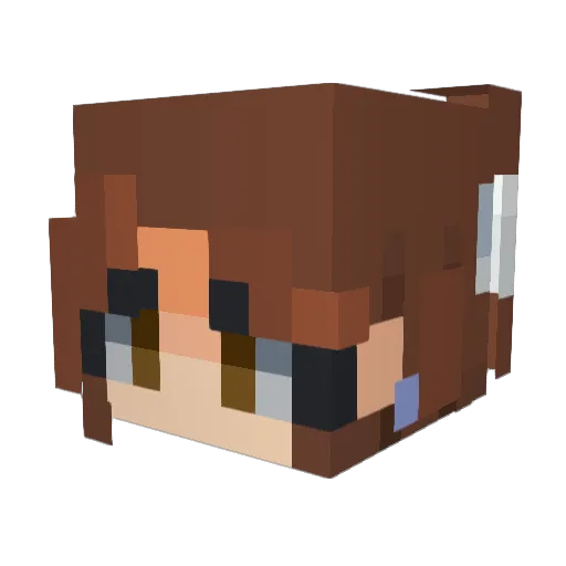 spaceexplorer100 Minecraft avatar head, 3D render