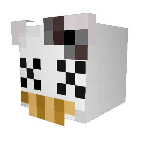 spaceghostderrp Minecraft avatar head, 3D render