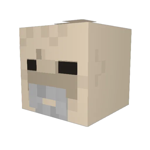spacegrav Minecraft avatar head, 3D render