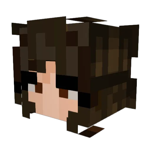 spacegxrl Minecraft avatar head, 3D render