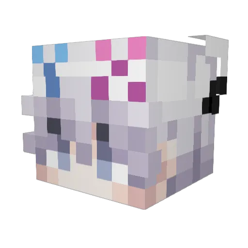 spacehero1315 Minecraft avatar head, 3D render