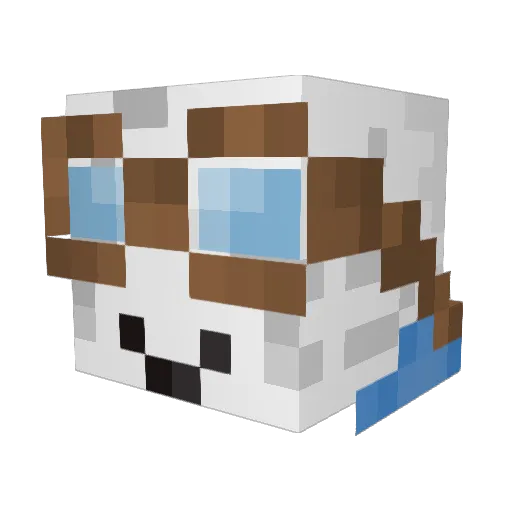 spacejunker Minecraft avatar head, 3D render